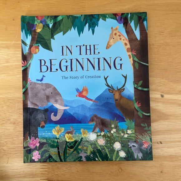 A Collection of Bible Stories 4 Books Illustrated HB Slipcase Creation Noah etc - Picture 11 of 14